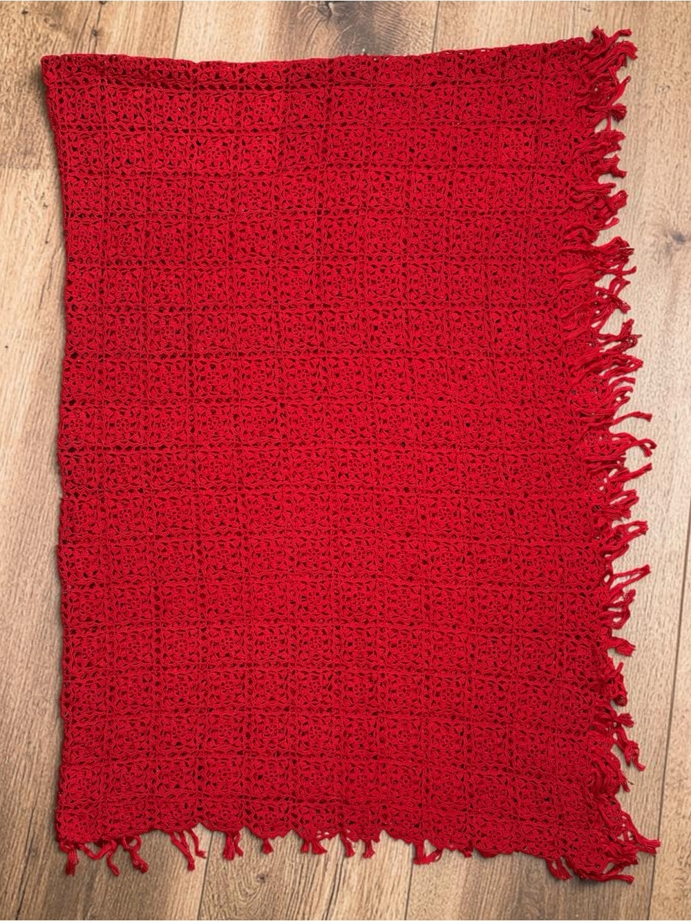 Vintage Crochet Blanket Throw Red Floral Lace Fringe